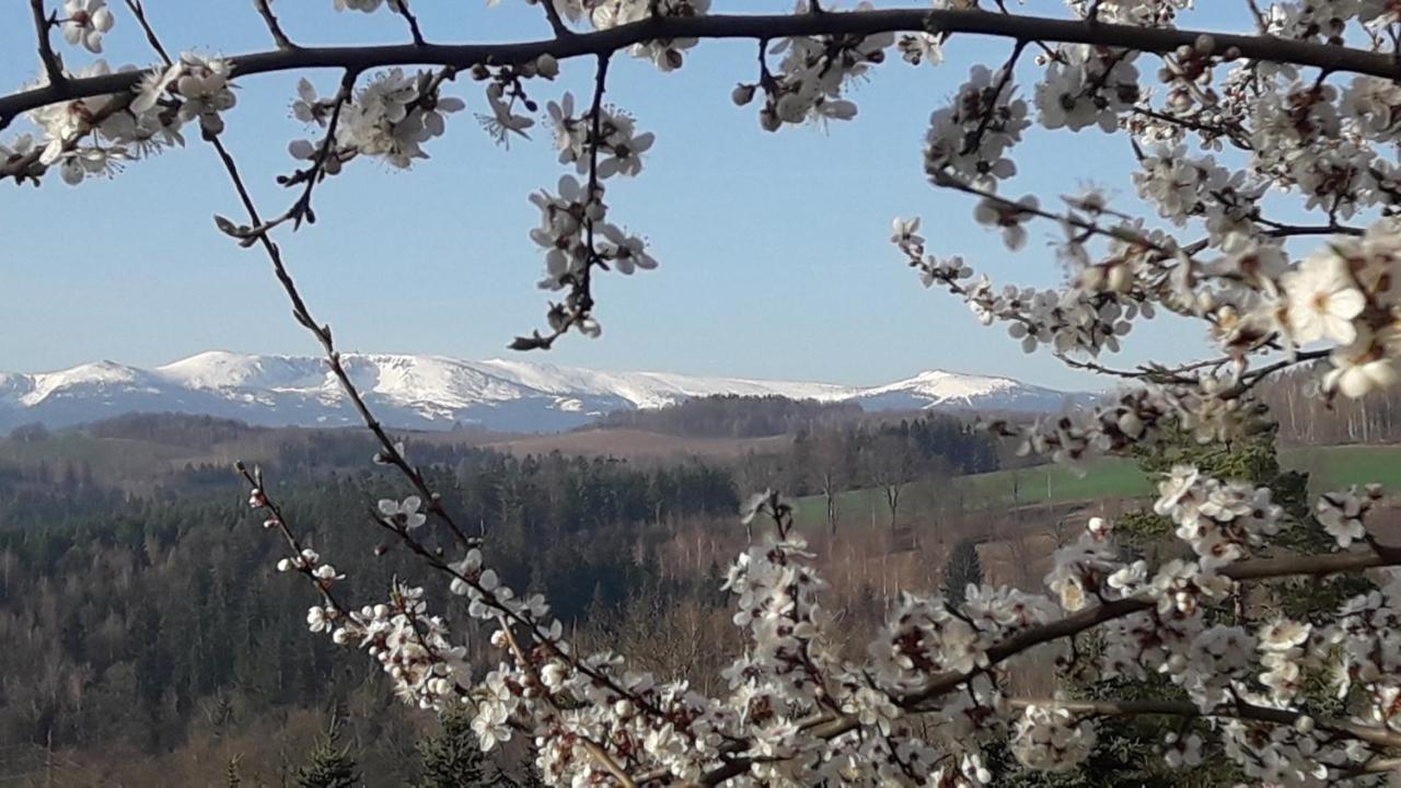 Kowalowe Skaly Spa&More Hotell Jelenia Góra Eksteriør bilde